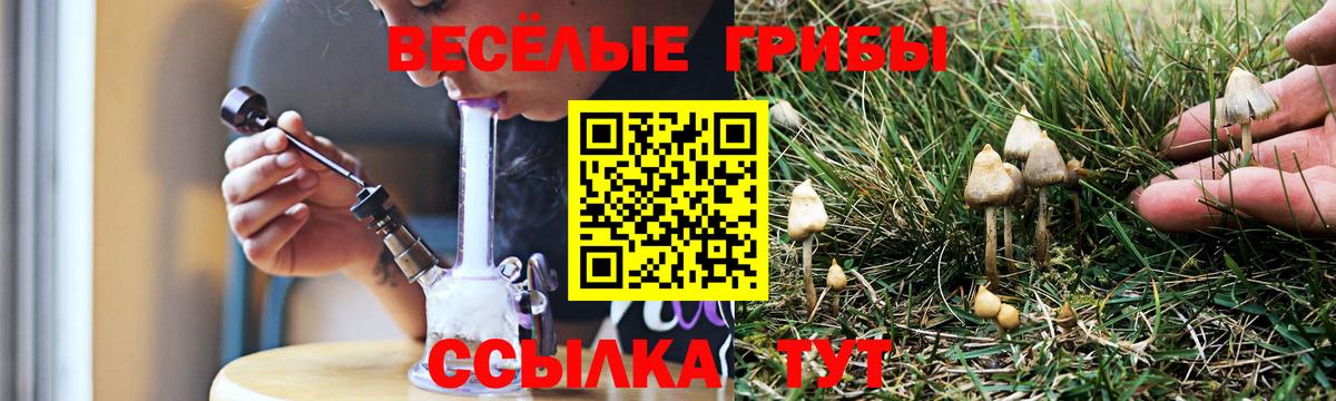 Каменск-Шахтинский  Галлюциногенные грибы Magic Shrooms  Вход с VPN 